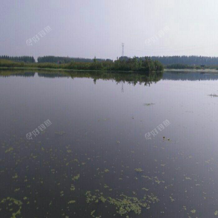 张家湖钓场