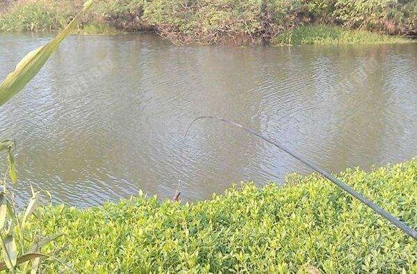 咸阳沣河森林公园