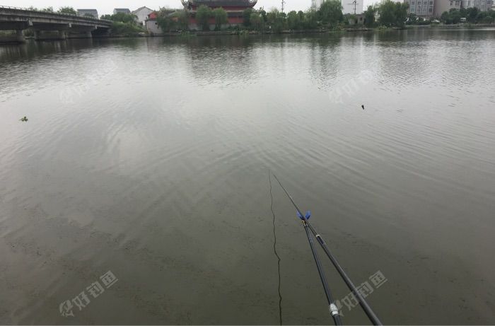 鲤鱼村龙王庙钓点