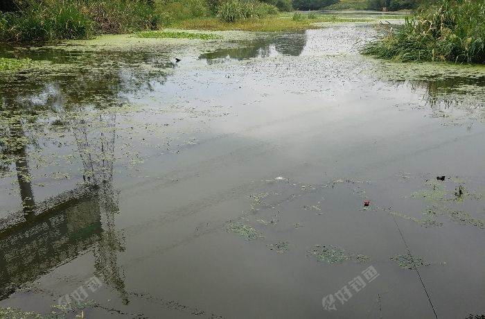 丹徒新丰镇东西连桥下