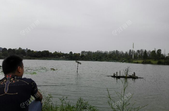 红莲湖叉湖