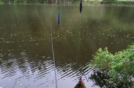 青年健身公园钓场