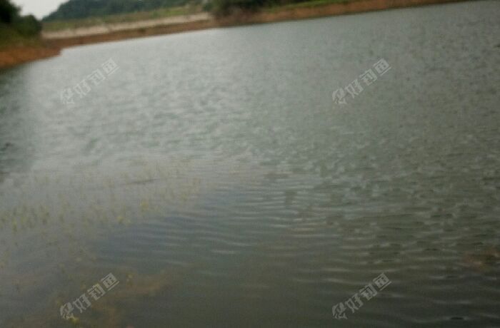 石坝水库