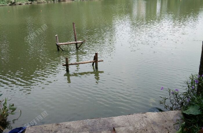 环阳湖湿地公园