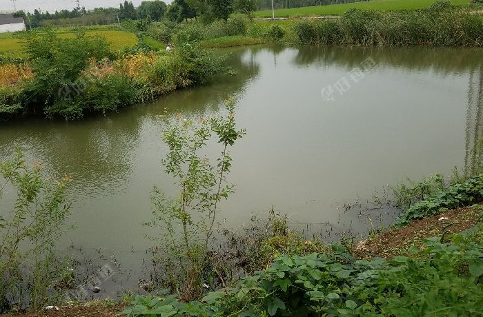 丹阳齐梁路新桥下