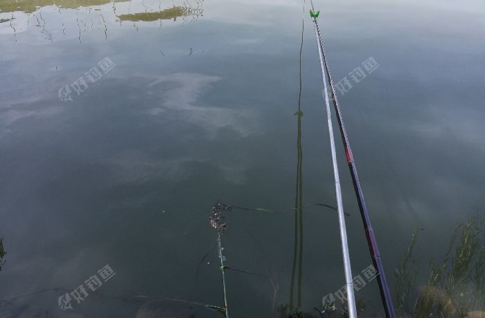 太东路无名小河钓点