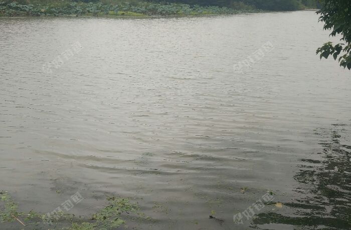 河下古镇御码头