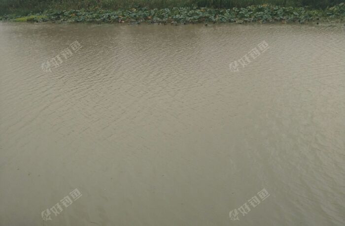 沂水河桥东岸路