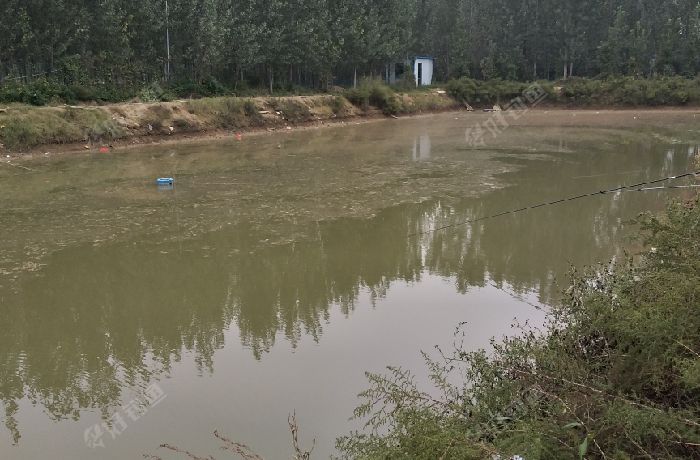 果子王垂钓中心