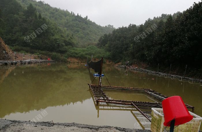 安徽省宁国市春天垂钓中心