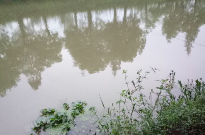 双山一里村小河