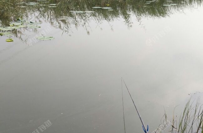 鲁西南景区 野钓园