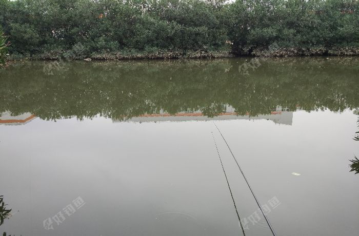 春归路路蕴藻浜