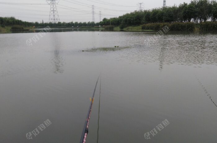 松沪苑钓场