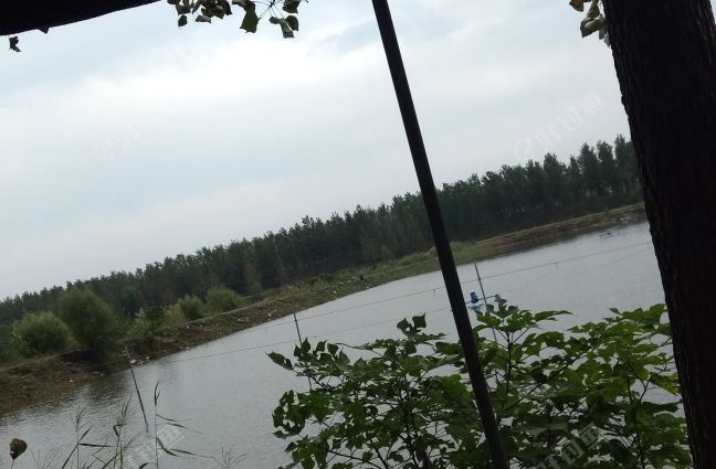 安徽宸艺垂钓中心