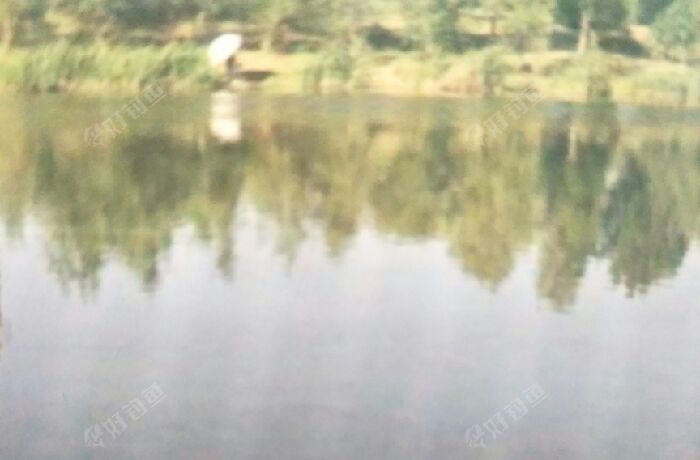 蒲河大房身钓点