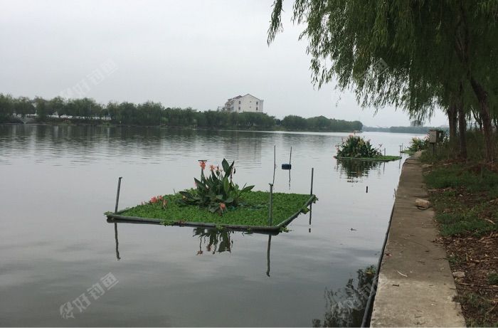 金清三角渡河段