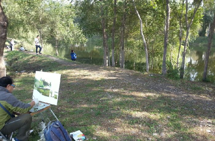 沈阳客厅对面风景小湖