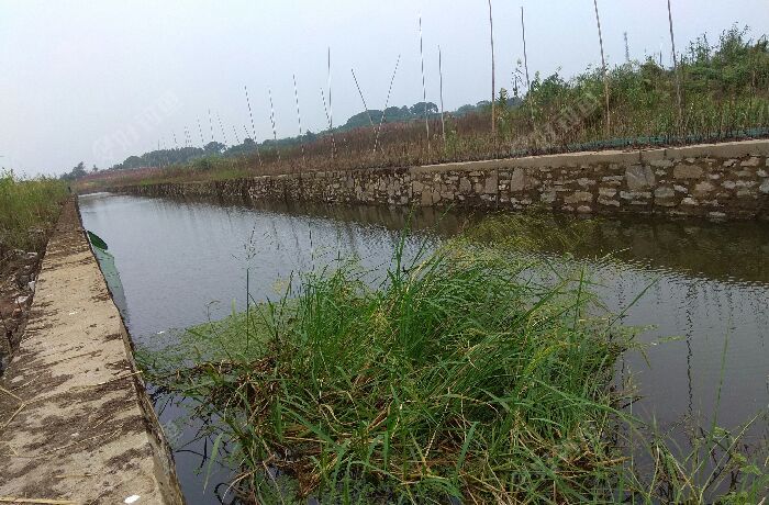 瑞码大道引桥河沟