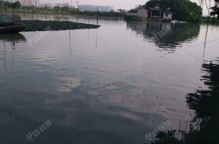 金凤桥(三样湿地)