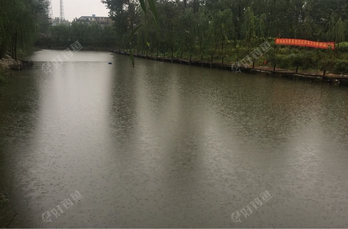 龙亢农场四连垂钓