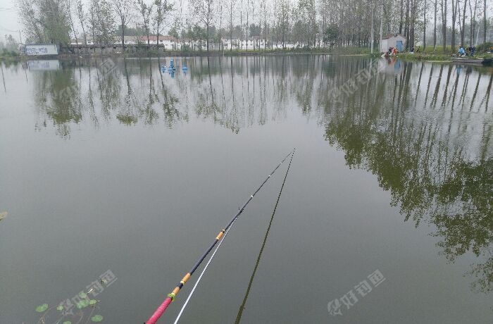 桑庄垂钓园