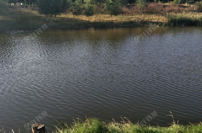 蒲河学园街钓点