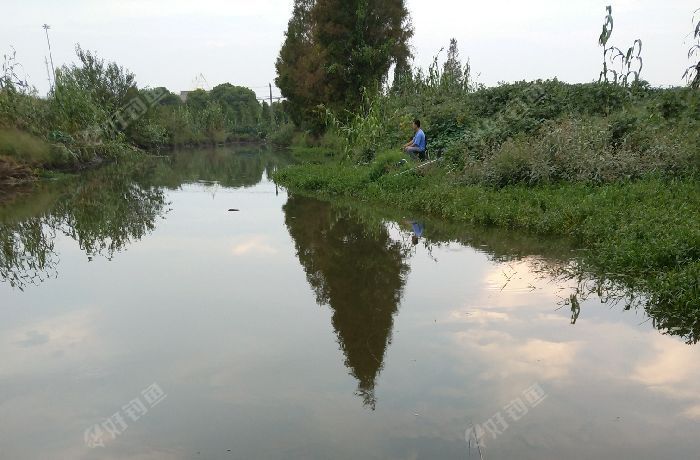叶榭镇大叶公路