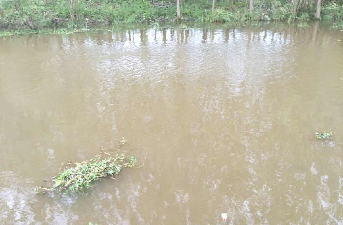 悦来街边的小河