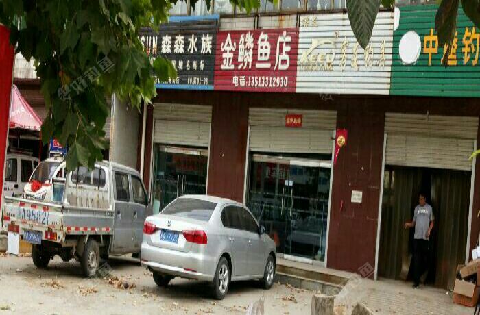 金鳞鱼具店