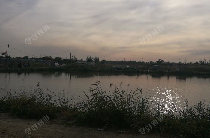 高尔夫人工湖垂钓农家乐