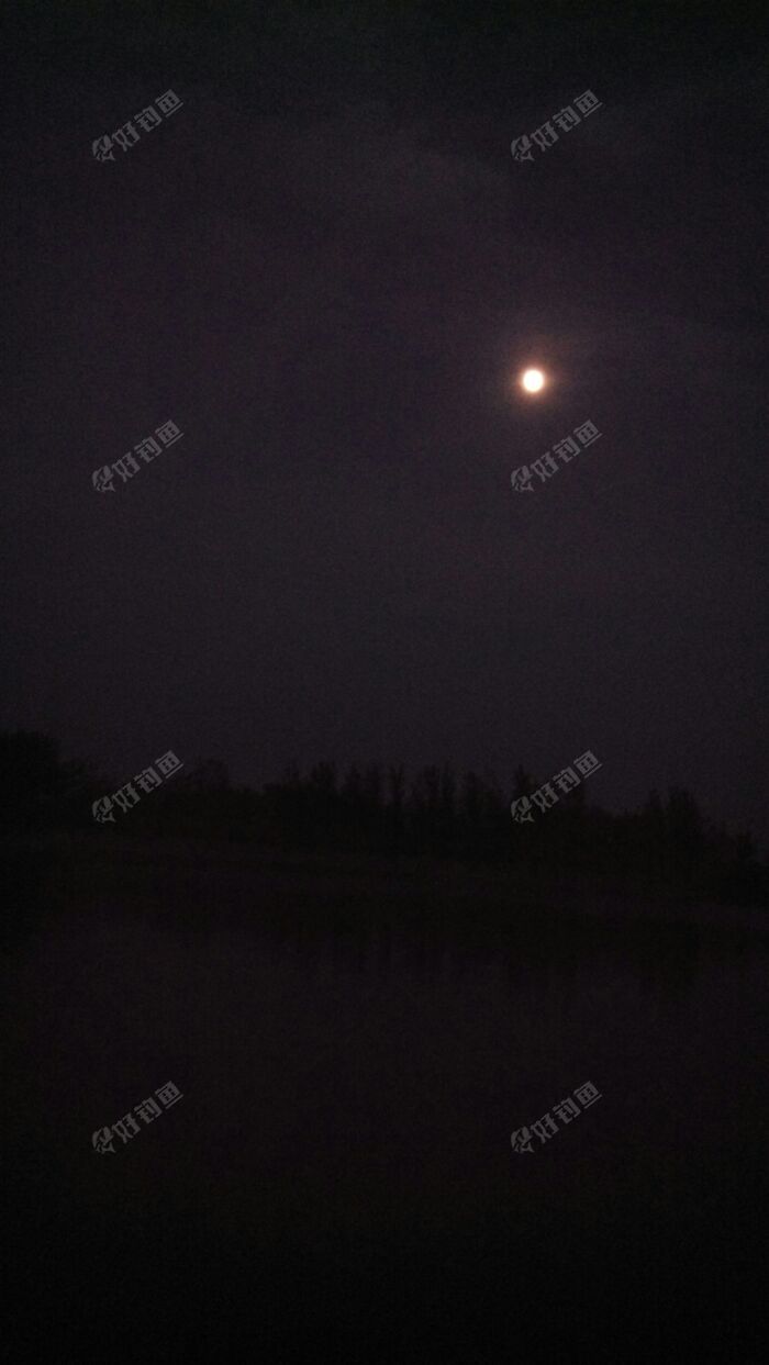 夜钓进行时 夜钓进行时