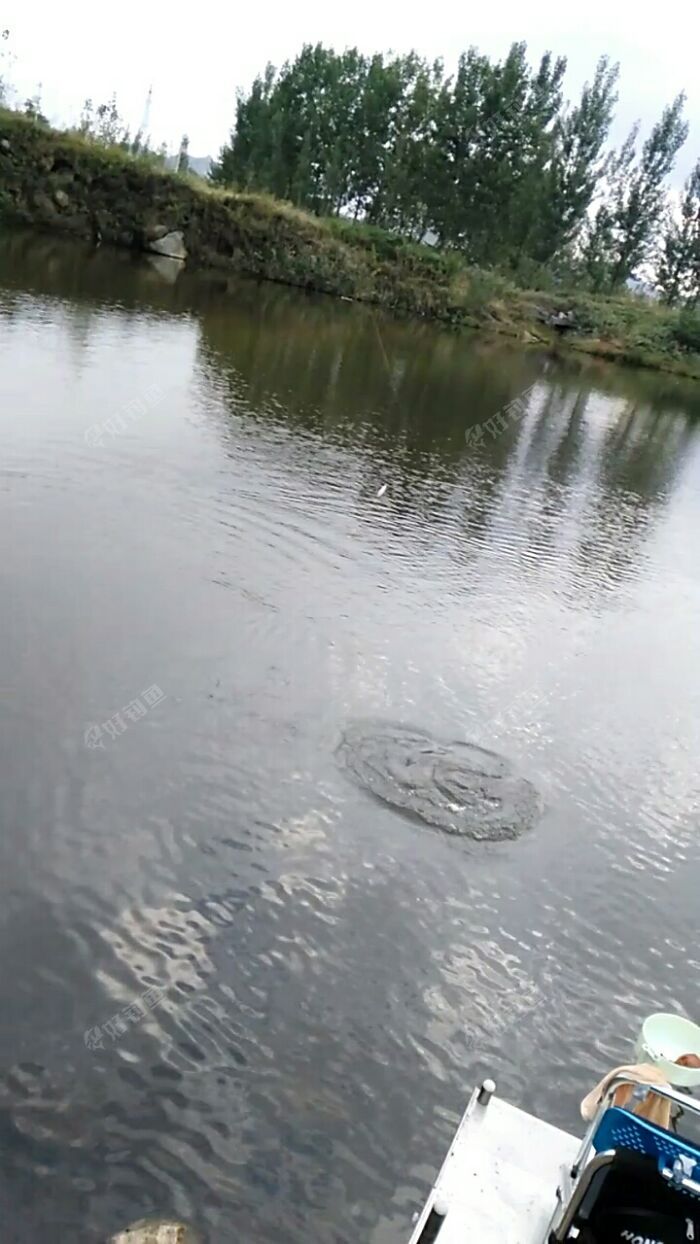 第一次出水 第一次出水
