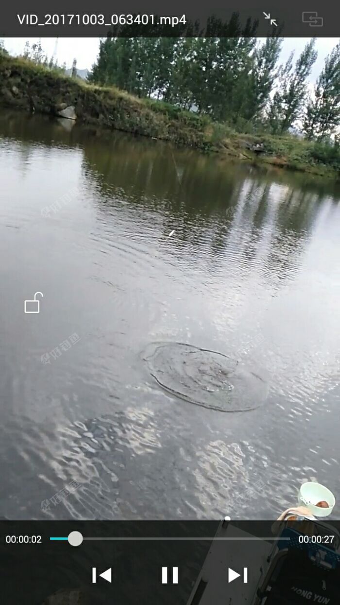 鱼线被拉的吱吱的 鱼线被拉的吱吱的