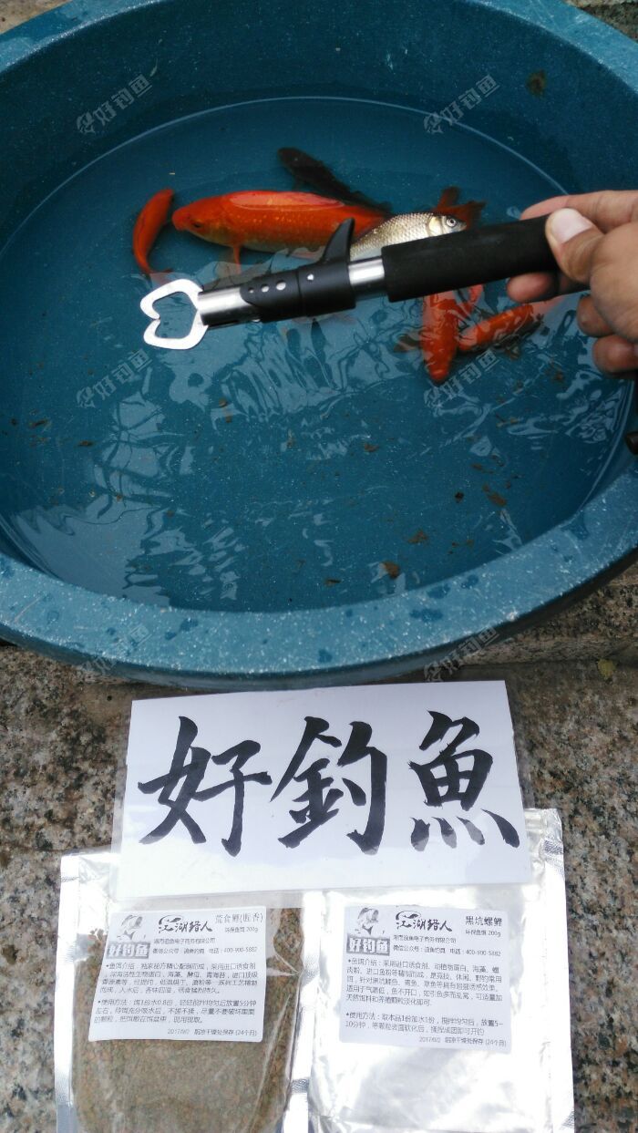小家伙们 小家伙们