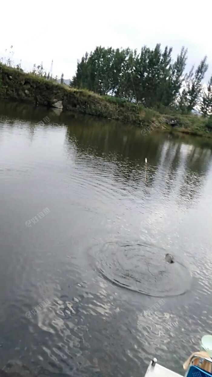 10分钟左右 10分钟左右