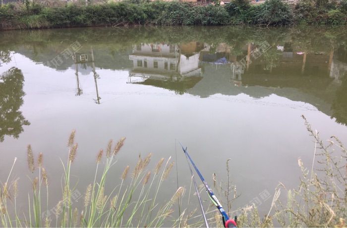 鱼塘