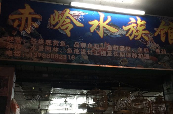 赤岭水族馆