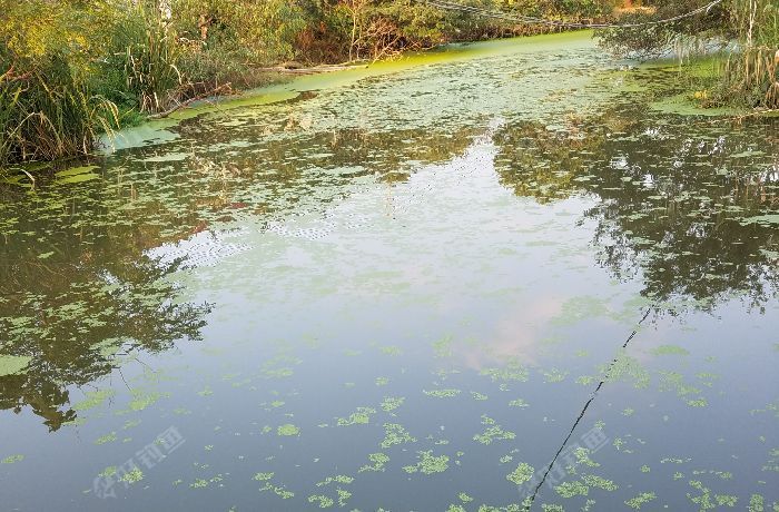 丹阳导士镇西沟句