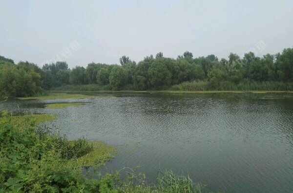 程家集茨河钓场