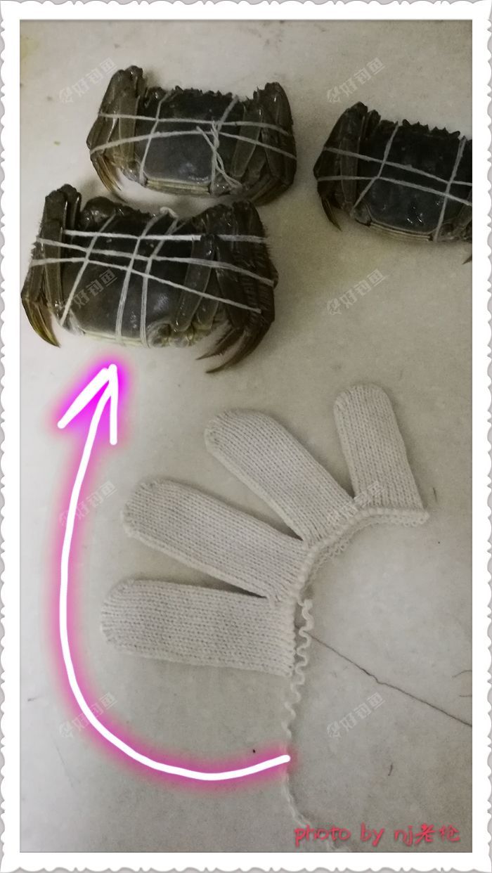 拆线手套线绑螃蟹