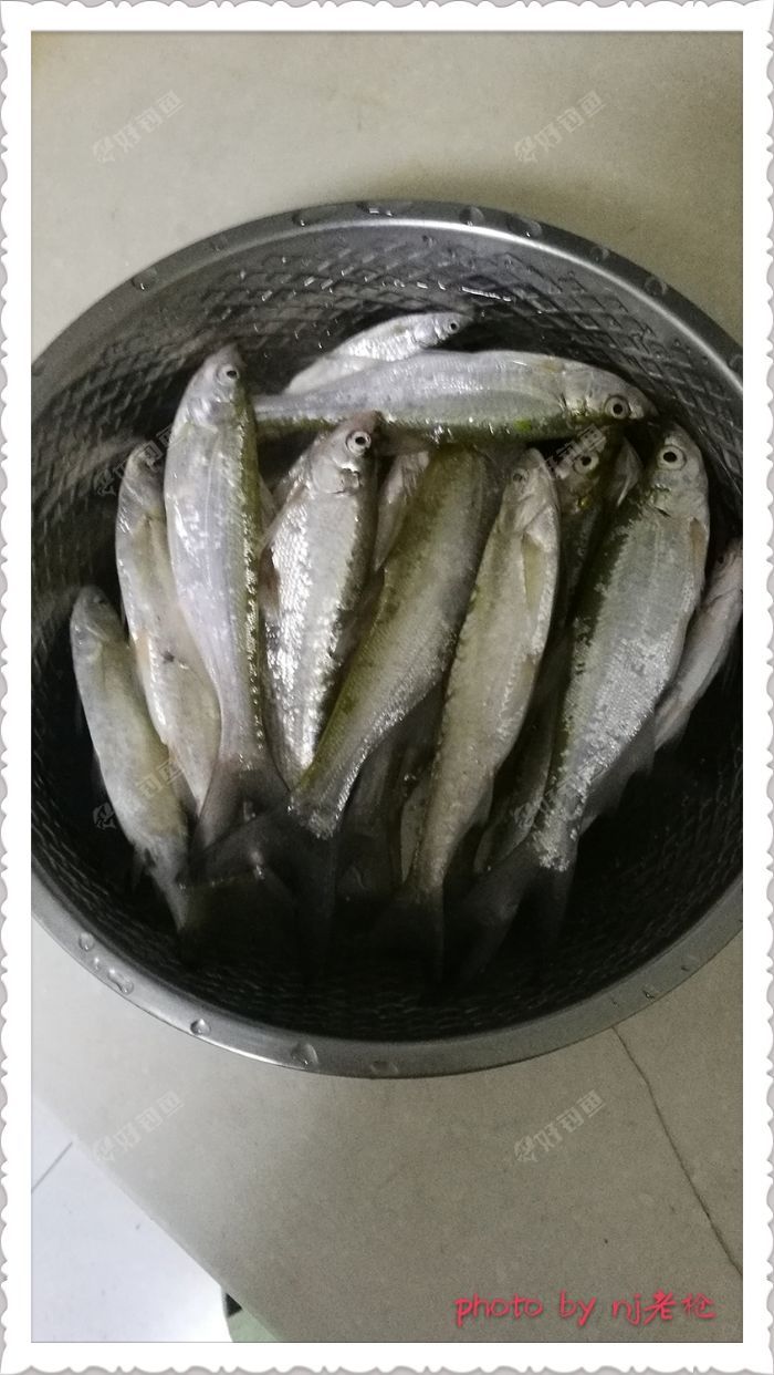 待剖的翘嘴餐条
