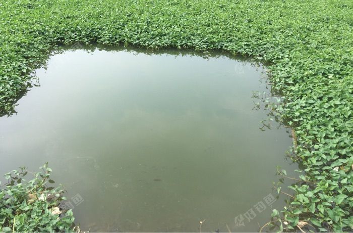 乐从钢铁世界一环辅路旁边