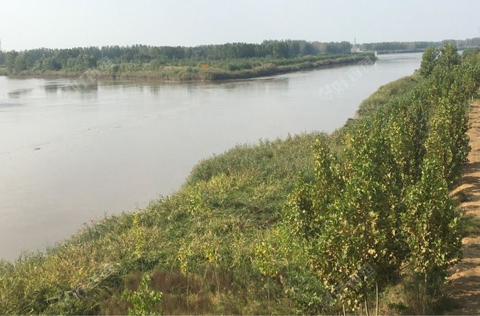 龙王河陈家庄桥西