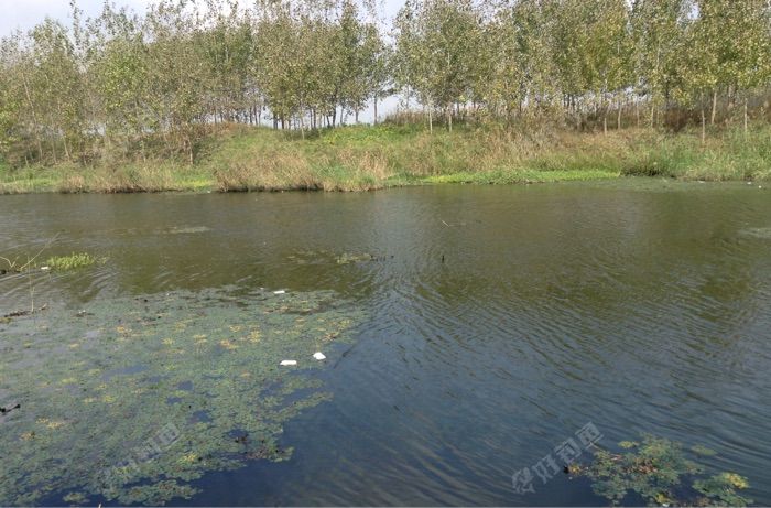 242国道桥段野河