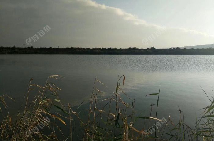 合阳洽川太里雷家钓场