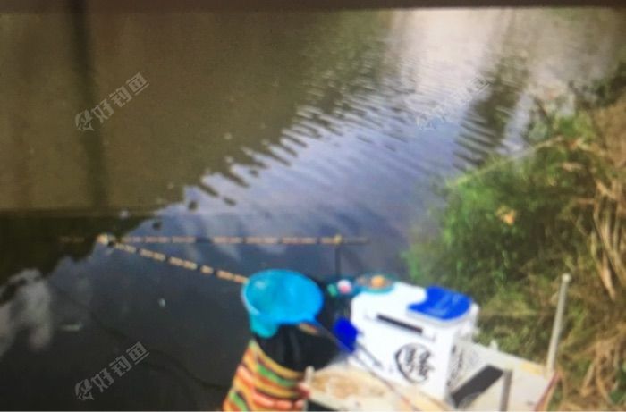 阜蒙河董集段钓场