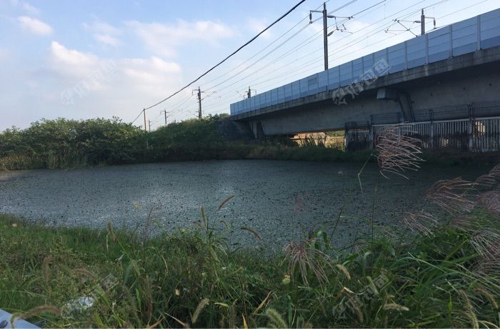 王家村村口高架桥下