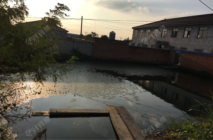 王家对小新村吃水塘