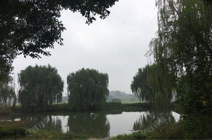 丹阳晓新村吃水塘